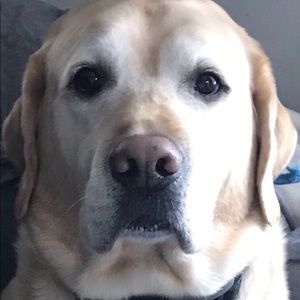 Meet your Posher, Jared